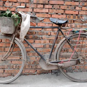 Bicicletas bike poor luxury edition